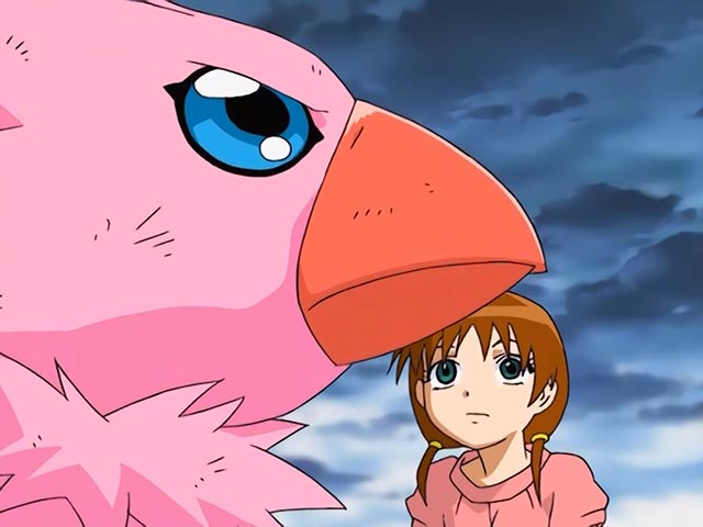 Tập 12 - Tôi sẽ bảo vệ Chika! Quyết tâm của Piyomon