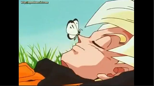 Tập 169 - Goku bình tĩnh vậy sao! Hãy nghỉ ngơi và đợi giải đấu của Cell bắt đầu