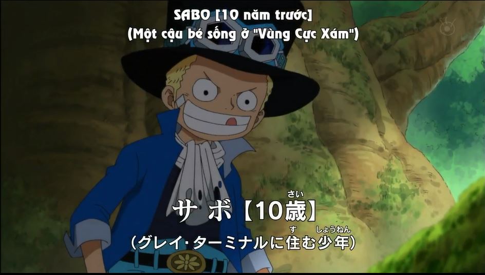 Tập 494 - Sabo xuất hiện! Cậu bé tại vùng cực xám