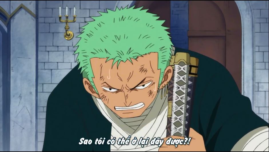 Tập 509 - Chạm trán! Đại kiếm hào Mihawk! Zoro kiên quyết chiến đấu!