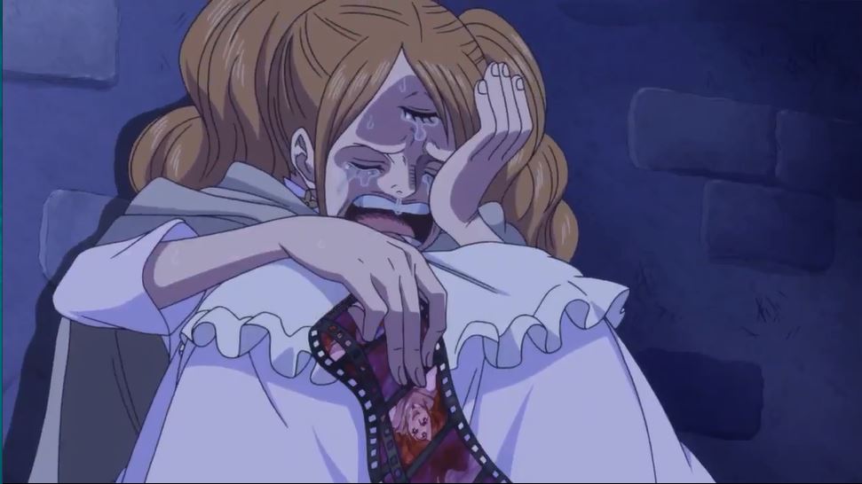 Tập 877 - Khoảnh khắc chia tay - Ước nguyện của Pudding