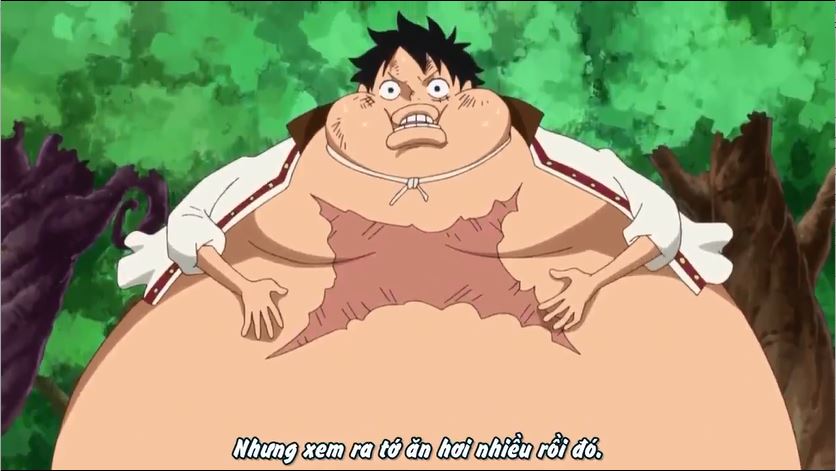 Tập 805 - Trận chiến của những giới hạn - Luffy vs vô số bánh quy!