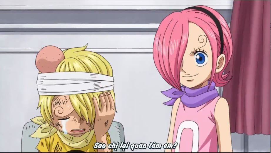 Tập 803 - Quá khứ bỏ quên! Vinsmoke Sanji!