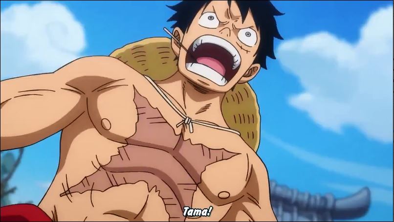 Tập 904 - Luffy thịnh nộ! Giải cứu Otama từ hiểm nguy!