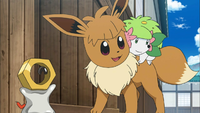 Tập 1061: Shaymin, Meltan Và Nagisa! Các Nhà Thám Hiểm Mất Tích!!
