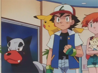 Tập 152: Pokemon bóng tối, Delvil