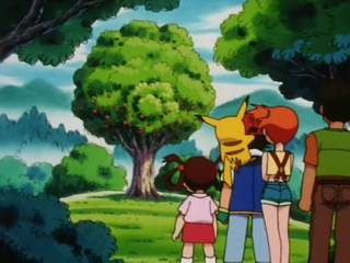 Tập 145: Kunugidama và quả Bonguri! Trận chiến sau núi!!