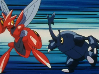 Tập 142: Thi đấu! Hassam VS Heracross!!