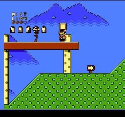 M.C.Mario